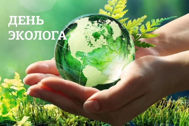 Когда будет День эколога в России, всемирный День окружающей среды